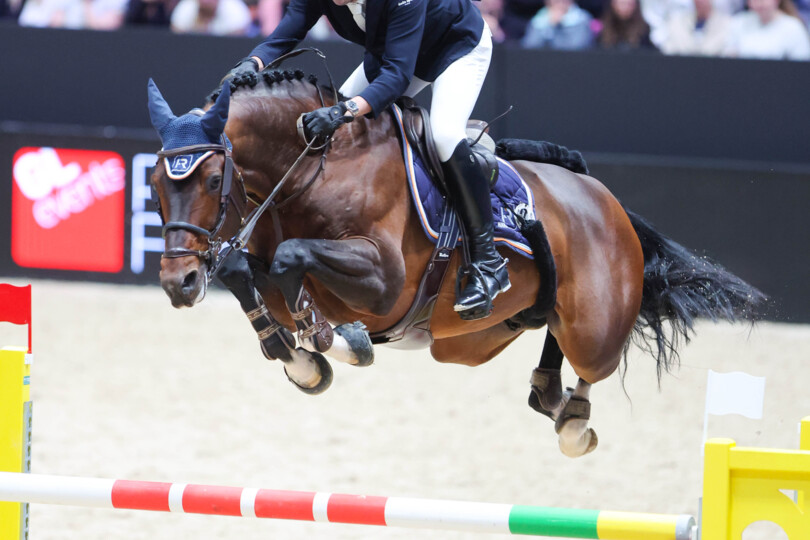 Touardo Blue Z takes 3rd place in the CSI4* Grand Prix in Liège!